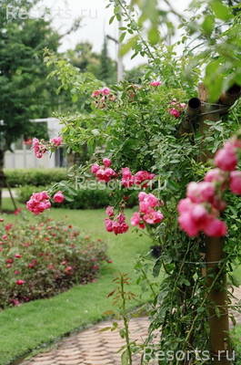 The River House Resort & Spa Chiang Rai 34